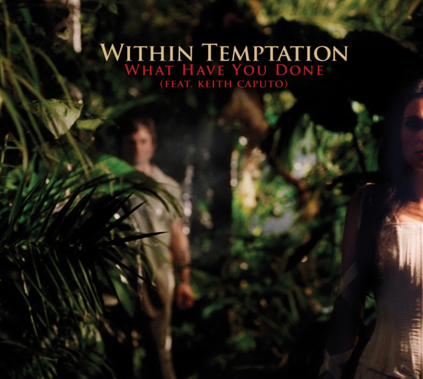 Within Temptation – What Have You Done (Limited Edition) (2007)
