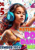 VA - National Pop Dance Music Vol. 95 (2024) MP3