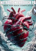 VA - Penetration Through Pain (2024) MP3