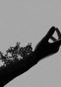 Bulletsbetweentongues – Fragility (2025)