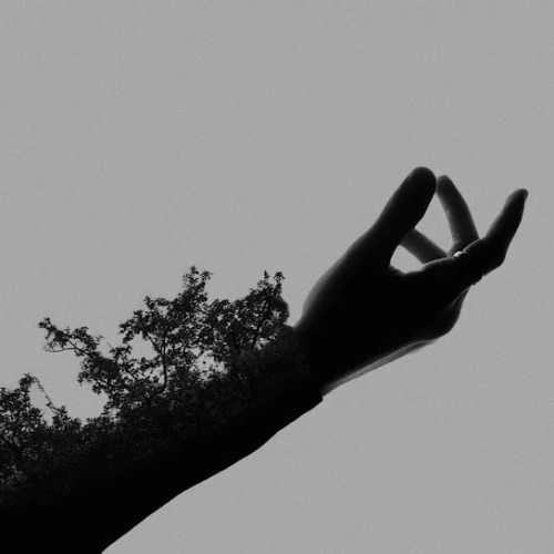 Bulletsbetweentongues – Fragility (2025)