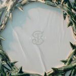 img Stinky - Solace (2025)