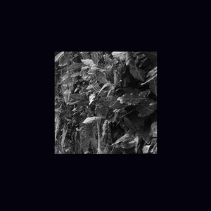 Weird Unhappy Things – 5 canzoni per le piogge primaverili (2025) .mp3 – 320 kbps