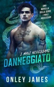 Onley James – I Mali Necessari. Danneggiato (2025)