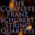 Schubert – The Complete String Quartets Nos. 1-15 (Taneyev Quartet) (2011) FLAC