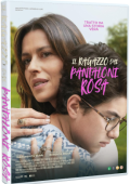 img Il Ragazzo Dai Pantaloni Rosa (2024).mkv WEBRiP x264 AC3 - iTA