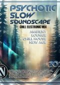 VA - Psychotic Slow Soundscape (2025) MP3