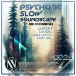 VA – Psychotic Slow Soundscape (2025) MP3