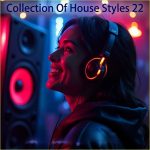 VA – Collection Of House Styles 22 (2025) MP3
