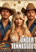 VA - Under The Tennessee Sky (2024) MP3