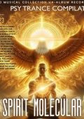 VA - Spirit Molekular (2025) MP3