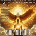 VA – Spirit Molekular (2025) MP3