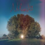 Donatella Montinaro – Uliveto (2024)