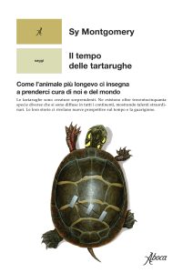 Sy Montgomery – Il tempo delle tartarughe (2025)
