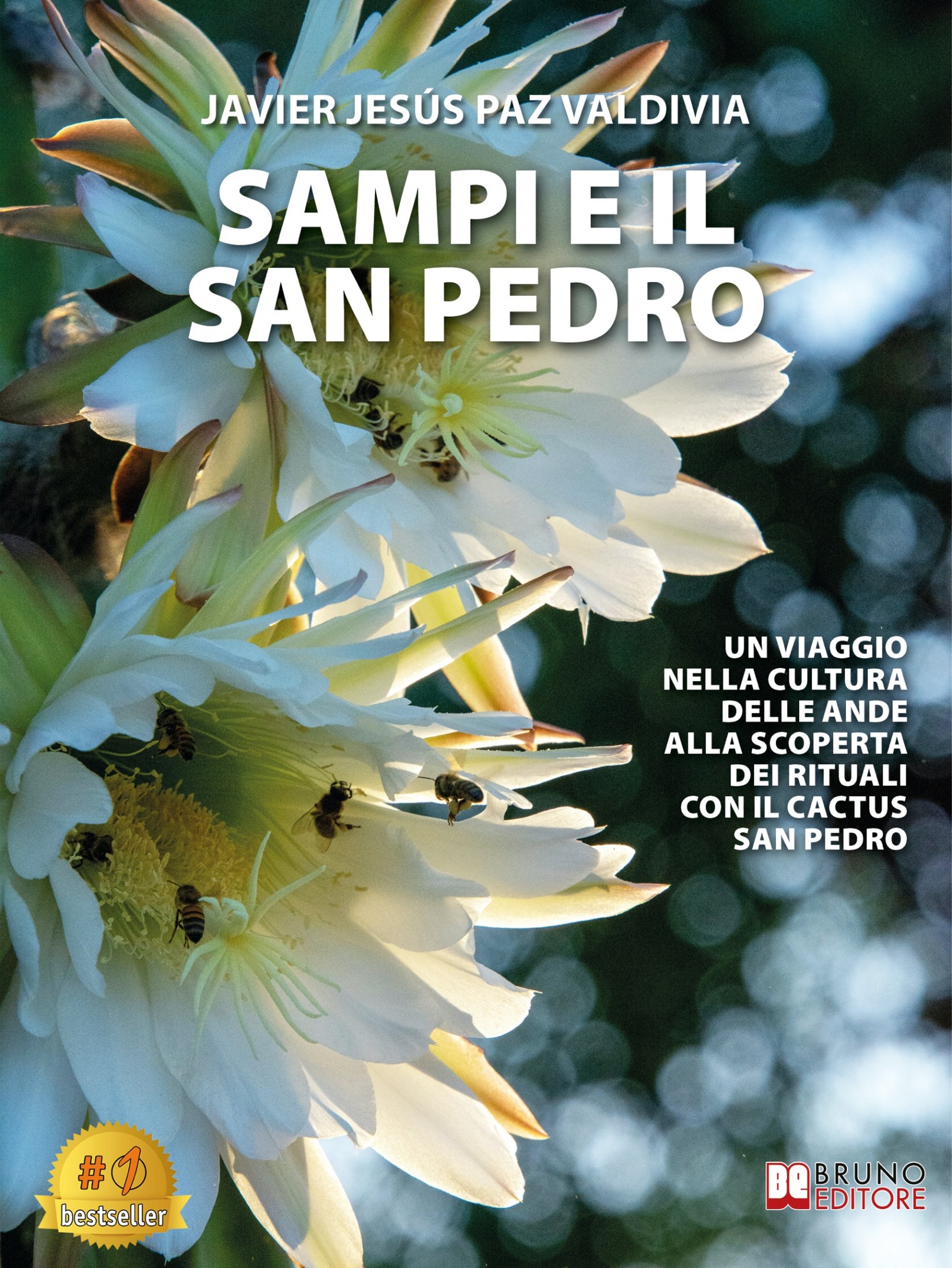 Javier Jesús Paz Valdivia – Sampi e il san Pedro (2025)