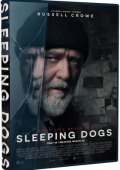 img Sleeping Dogs (2024).mkv WEBRiP x264 AC3 - iTA