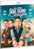 img Dove Osano Le Cicogne (2025).mkv BluRay 720p DTS/AC3 iTA x264