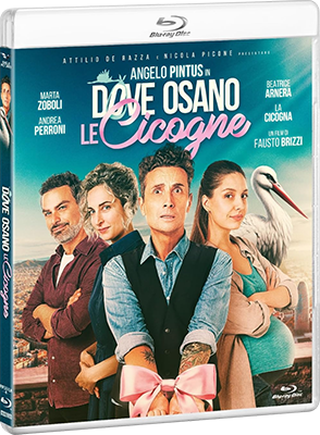 Dove Osano Le Cicogne (2025).mkv BluRay 720p DTS/AC3 iTA x264