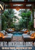 VA - Aesthetic Background Lounge Music Vol. 02 (2024) MP3