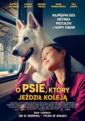 img Lampo - Il Cane Viaggiatore (2023) .mkv iTA WEBDL 1080p x264