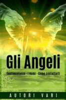 AA. VV.- Gli Angeli – Testimonianze – I Nomi – Come contattarli (2015)