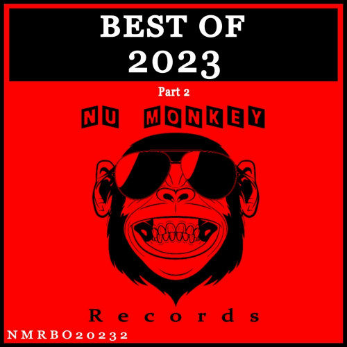 VA – Best Of Nu Monkey Records 2023, Pt. 1-2 (2023 – 2024) MP3, 320