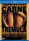 img Carne trémula (1997) 1080p X264 AC3 ITA