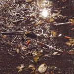 img Ashes Like Rain - Selftitled (2023)