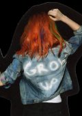 Paramore - Paramore (Deluxe Edition) (2013) [Flac 24-44]