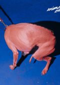 Perenne - Animale Omega (2024) [MP3 320/Flac 24-44]