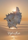 Café Del Mar - Café del Mar Ibiza Chillout Mix V (DJ Mix) (2025) .mp3 - 320 kbps / FLAC