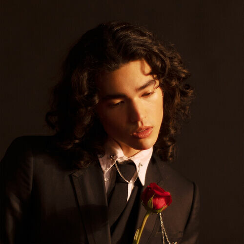 Conan Gray – Discography: 9 releases (2018-2025), MP3, 320