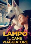 img Lampo il cane viaggiatore [HD] (2023) Streaming + Download