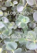 Gianluca Pace - Logògrafo (2025)
