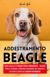 Gianluca Traccia – Vivere con un Beagle (2025)
