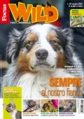 img Focus Wild - Giugno 2025