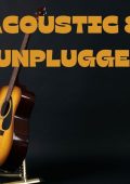 V.A. - Acoustic & Unplugged (2024) [Flac 16-44]