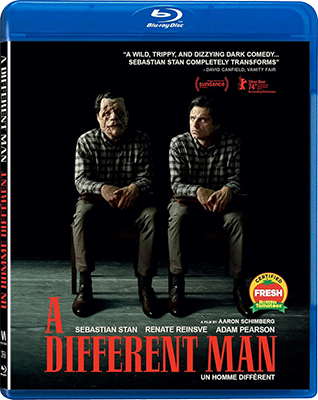 A Different Man (2024).mkv BDRiP x264 AC3 – iTA