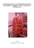 Carlo Diaferia Francesco Longo - Studio degli insaccati tipici della salumeria calabrese: ‘nduja, salsiccia e soppressata (2023)