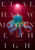 Garbage - Let All That We Imagine Be The Light (2025) .mp3 - 320 kbps / FLAC (24bit-96kHz)