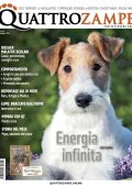 img Quattrozampe N.207 - Maggio 2025