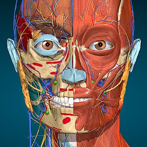 [ANDROID] Anatomy Learning – Anatomía 3D Full v3.1.466 Mod .apk – ITA