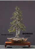 Pierluigi Tamanini - Bonsai (2014)