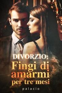 Palacio – Divorzio. Fingi di amarmi per tre mesi (2025) Palacio – Divorzio. Fingi di amarmi per tre mesi (2025)