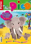 img Focus Pico - Maggio 2025 [versione migliorata]