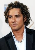 David Bisbal - Collection (2002-2009) FLAC