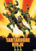 img Tartarughe Ninja III (1993).mkv BDRip 1080p x264 AC3 iTA