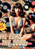 VA - Vinil Echo Of The 2000s (2025) MP3