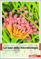Richard A. Harvey, Pamela C. Champe – Le basi della microbiologia  (2008) PDF