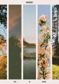 Bouquet - Feel in Color (2025)